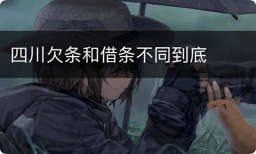 四川欠条和借条不同到底