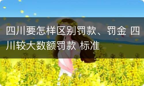 四川要怎样区别罚款、罚金 四川较大数额罚款 标准