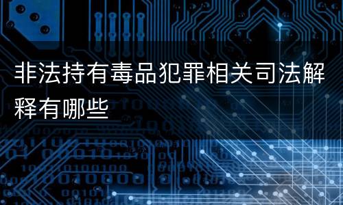 非法持有毒品犯罪相关司法解释有哪些