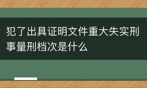 犯了出具证明文件重大失实刑事量刑档次是什么