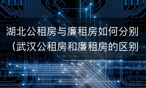 湖北公租房与廉租房如何分别（武汉公租房和廉租房的区别）