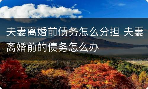 夫妻离婚前债务怎么分担 夫妻离婚前的债务怎么办