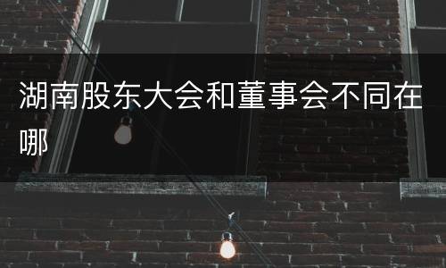 湖南股东大会和董事会不同在哪