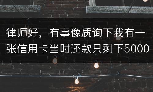 律师好，有事像质询下我有一张信用卡当时还款只剩下5000现在升到20000怎么办