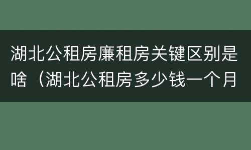 湖北公租房廉租房关键区别是啥（湖北公租房多少钱一个月）