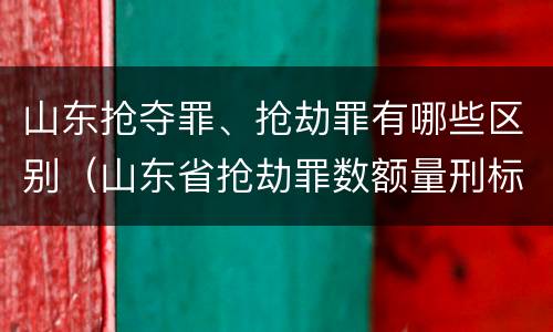 山东抢夺罪、抢劫罪有哪些区别（山东省抢劫罪数额量刑标准）
