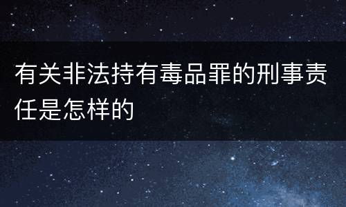 有关非法持有毒品罪的刑事责任是怎样的