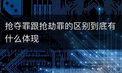 抢夺罪跟抢劫罪的区别到底有什么体现