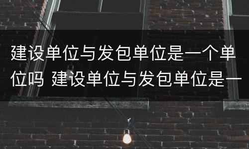 建设单位与发包单位是一个单位吗 建设单位与发包单位是一个单位吗为什么