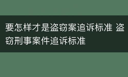 要怎样才是盗窃案追诉标准 盗窃刑事案件追诉标准