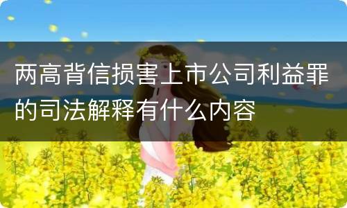 两高背信损害上市公司利益罪的司法解释有什么内容