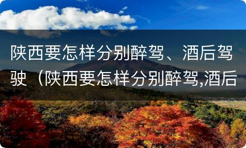 陕西要怎样分别醉驾、酒后驾驶（陕西要怎样分别醉驾,酒后驾驶的人）
