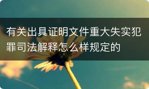 有关出具证明文件重大失实犯罪司法解释怎么样规定的