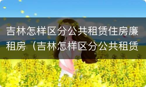 吉林怎样区分公共租赁住房廉租房（吉林怎样区分公共租赁住房廉租房和住房）