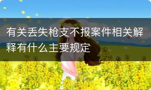有关丢失枪支不报案件相关解释有什么主要规定
