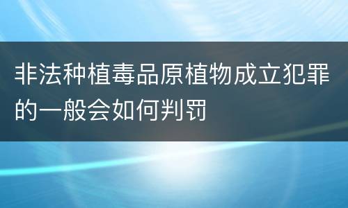 非法种植毒品原植物成立犯罪的一般会如何判罚