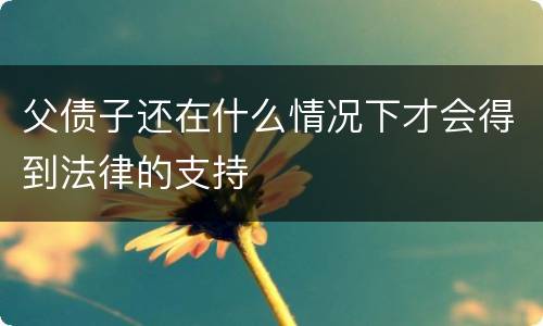 父债子还在什么情况下才会得到法律的支持