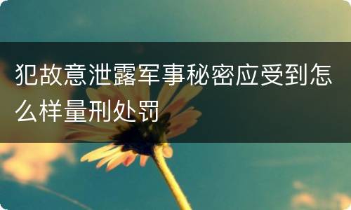 犯故意泄露军事秘密应受到怎么样量刑处罚