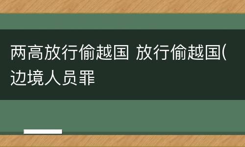 两高放行偷越国 放行偷越国(边境人员罪