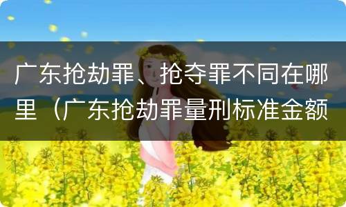 广东抢劫罪、抢夺罪不同在哪里（广东抢劫罪量刑标准金额）