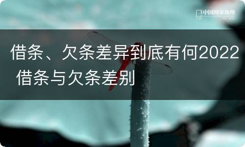借条、欠条差异到底有何2022 借条与欠条差别