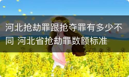 河北抢劫罪跟抢夺罪有多少不同 河北省抢劫罪数额标准