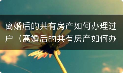 离婚后的共有房产如何办理过户（离婚后的共有房产如何办理过户）