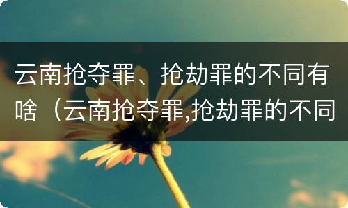 云南抢夺罪、抢劫罪的不同有啥（云南抢夺罪,抢劫罪的不同有啥区别）