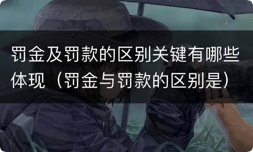 罚金及罚款的区别关键有哪些体现（罚金与罚款的区别是）
