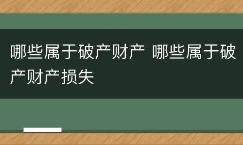 哪些属于破产财产 哪些属于破产财产损失