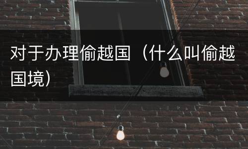对于办理偷越国（什么叫偷越国境）