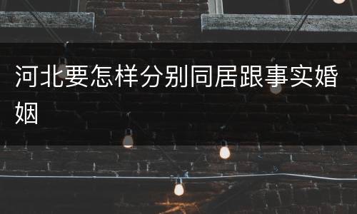 河北要怎样分别同居跟事实婚姻