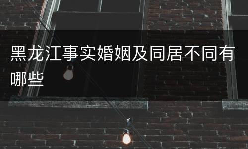 黑龙江事实婚姻及同居不同有哪些