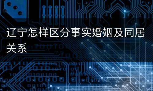 辽宁怎样区分事实婚姻及同居关系