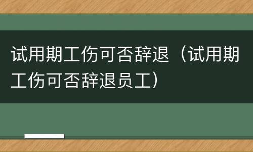 试用期工伤可否辞退（试用期工伤可否辞退员工）