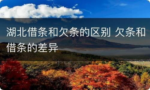 湖北借条和欠条的区别 欠条和借条的差异