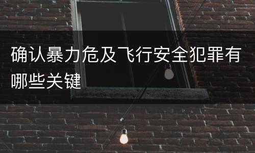 确认暴力危及飞行安全犯罪有哪些关键