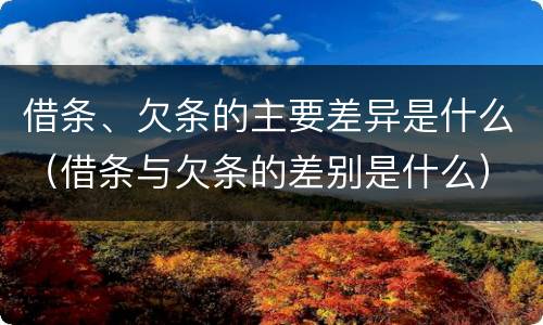 借条、欠条的主要差异是什么（借条与欠条的差别是什么）