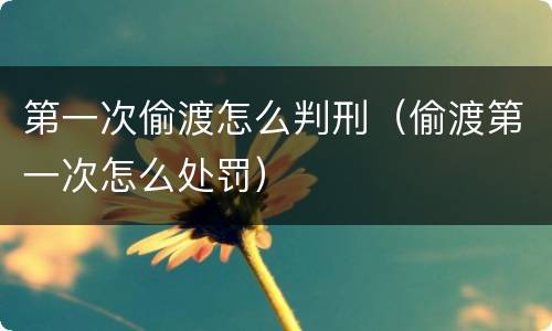第一次偷渡怎么判刑（偷渡第一次怎么处罚）