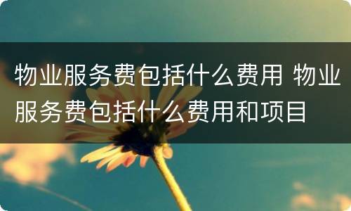 物业服务费包括什么费用 物业服务费包括什么费用和项目