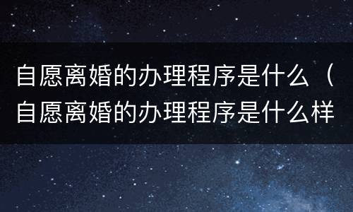 自愿离婚的办理程序是什么（自愿离婚的办理程序是什么样的）
