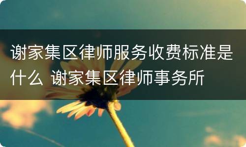 谢家集区律师服务收费标准是什么 谢家集区律师事务所