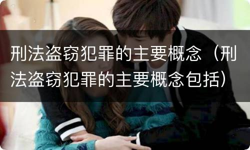 刑法盗窃犯罪的主要概念（刑法盗窃犯罪的主要概念包括）