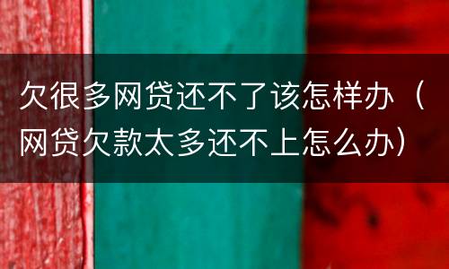 欠很多网贷还不了该怎样办（网贷欠款太多还不上怎么办）