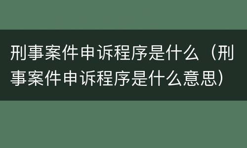 刑事案件申诉程序是什么（刑事案件申诉程序是什么意思）