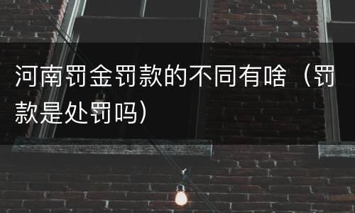 河南罚金罚款的不同有啥（罚款是处罚吗）