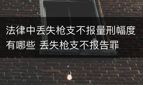法律中丢失枪支不报量刑幅度有哪些 丢失枪支不报告罪
