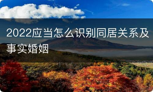 2022应当怎么识别同居关系及事实婚姻