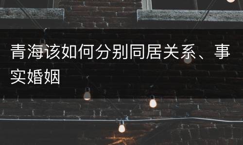 青海该如何分别同居关系、事实婚姻