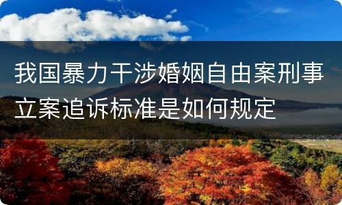 我国暴力干涉婚姻自由案刑事立案追诉标准是如何规定